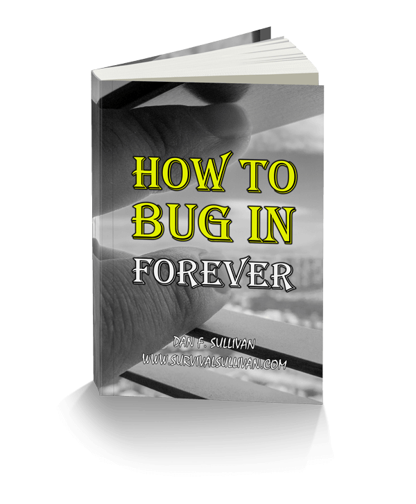 How to Bug In 3D e-cover