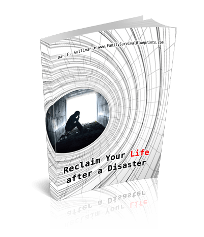 Reclaim Your Life After a Disaster 3d e-cover
